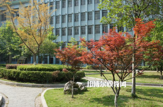 廉江市衛(wèi)生職業(yè)技術(shù)學(xué)校怎么樣、好不好