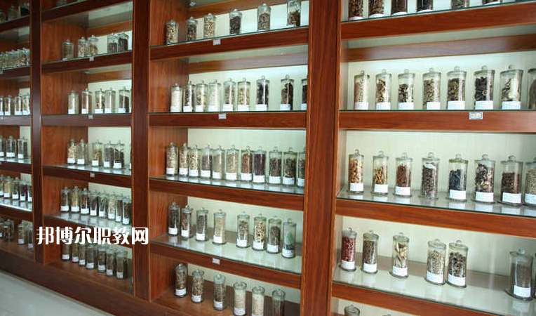 湛江中醫(yī)學(xué)校2022年報名條件、招生要求、招生對象