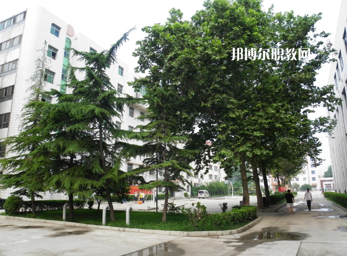 峨山縣職業(yè)高級中學2022年有哪些專業(yè)