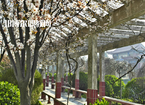 阜陽工業(yè)經(jīng)濟(jì)學(xué)校2022年報(bào)名條件、招生要求、招生對象