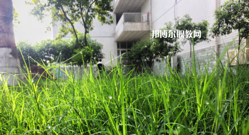 樂山計(jì)算機(jī)學(xué)校2022年學(xué)費(fèi)、收費(fèi)多少