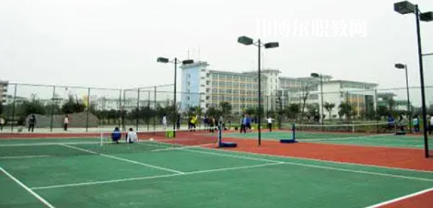 四川愛華學院網(wǎng)站網(wǎng)址