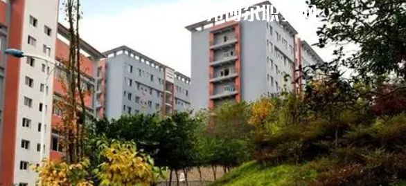 四川市綿竹職業(yè)中專學(xué)校2022年報(bào)名條件、招生要求、招生對象