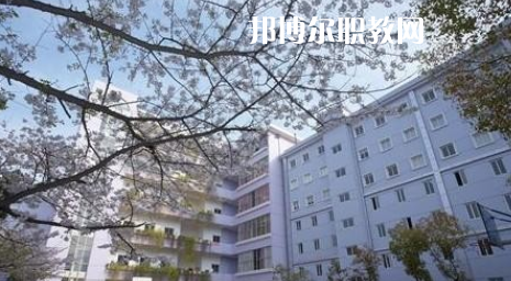 武漢體育舞蹈藝術(shù)學(xué)校2022年怎么樣、好不好