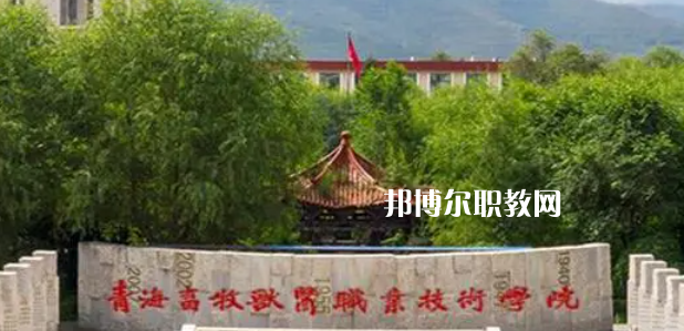 青海高職?？拼髮W(xué)2023年排名(文科)