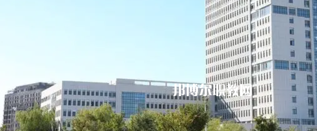 2023年山東省內(nèi)最好的高職專科大學排名