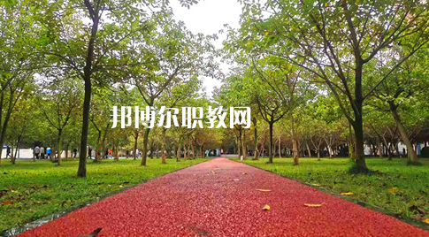 2023年四川國(guó)盛技工學(xué)校醫(yī)護(hù)救援部學(xué)費(fèi)、收費(fèi)多少