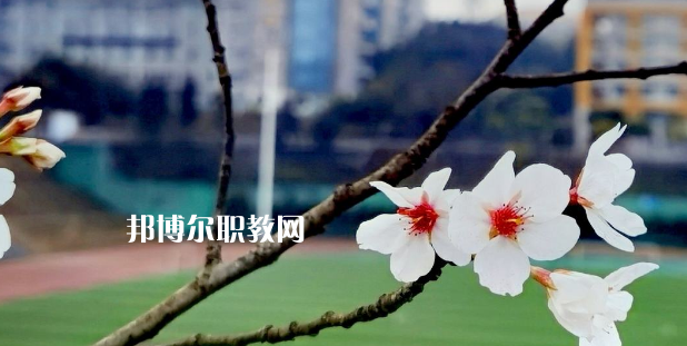 2023眉山技師學(xué)院招生計(jì)劃 招生人數(shù)是多少(附要求、條件、對(duì)象)