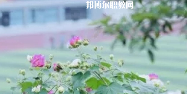 眉山技師學(xué)院地址在哪里，哪個地區(qū)，哪個城市?