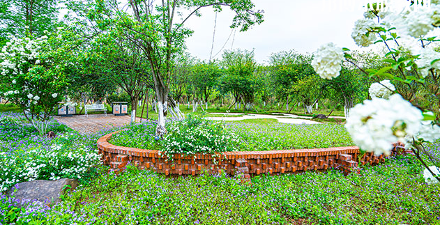 重慶望江技工學(xué)校地址在哪里，哪個(gè)地區(qū)，哪個(gè)城市?