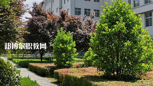 2023渭南技師學(xué)院招生計(jì)劃 招生人數(shù)是多少(附要求、條件、對象)