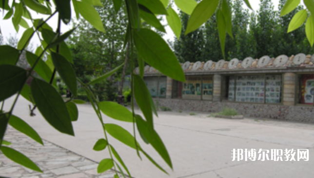 野風美術中學網(wǎng)站網(wǎng)址主頁