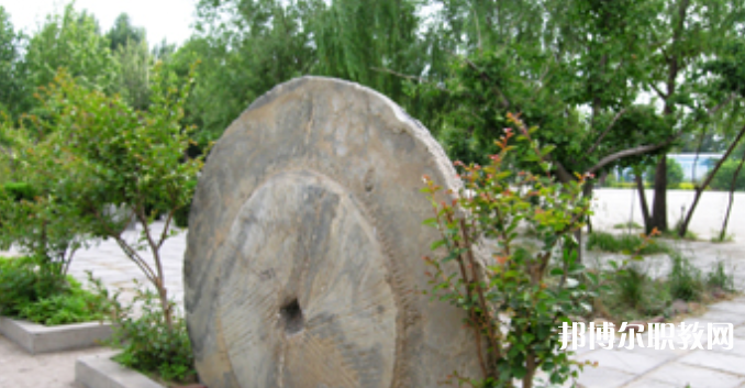 野風(fēng)美術(shù)中學(xué)怎么樣、好不好