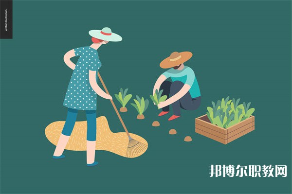 林州職業(yè)教育中心有哪些招生專業(yè)(2023年) 林州職業(yè)教育中心有哪些招生專業(yè)(2023年)