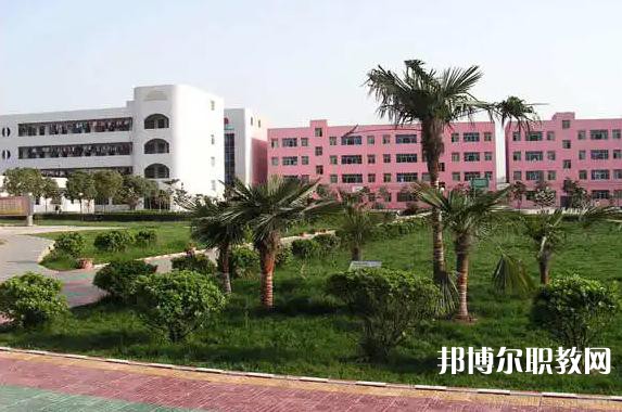 長武職業(yè)教育中心2023年招生錄取分數線(2024參考)