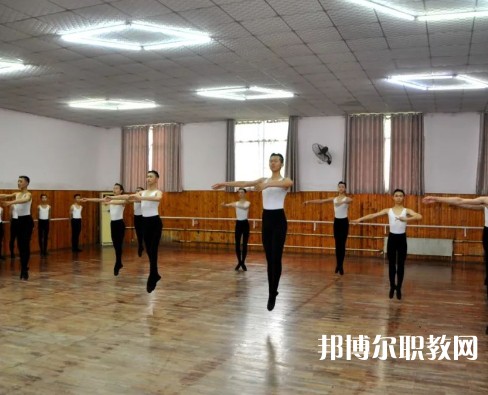 武漢體育舞蹈藝術(shù)學校2023年招生錄取分數(shù)線(2024參考)