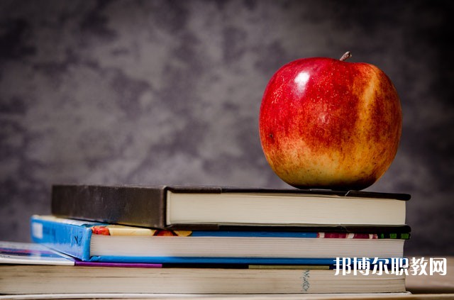 廣東哪里的職業(yè)學校能讀幼兒教育專業(yè) 廣東哪里的職業(yè)學校能讀幼兒教育專業(yè)