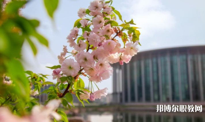 河南藝術(shù)職業(yè)學(xué)院中專部怎么樣、好不好