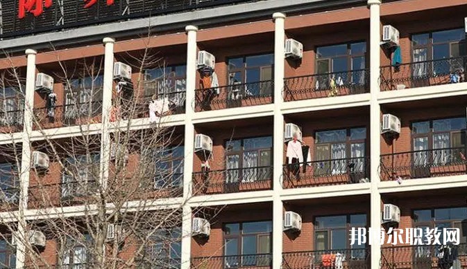 2024大連國際舞蹈學(xué)校招生計(jì)劃 招生人數(shù)是多少(附要求、條件、對象)