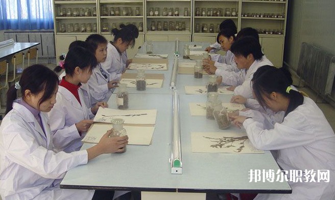 沈陽市中醫(yī)藥學(xué)校怎么樣、好不好