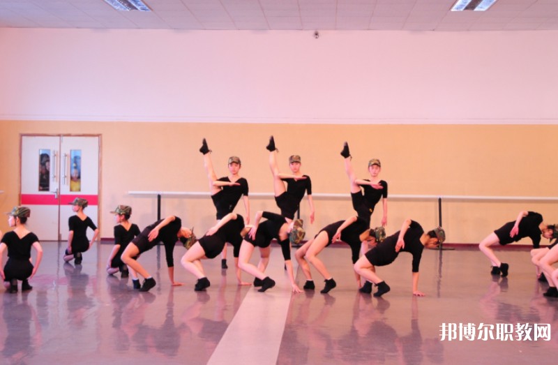 2025遼寧文化藝術學校招生計劃 招生人數是多少(附要求、條件、對象)