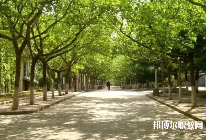 2025黃岡中專學(xué)校最新排名前三名單