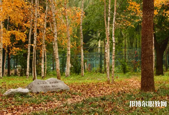 2025信陽中專學(xué)校最新排名前三名單