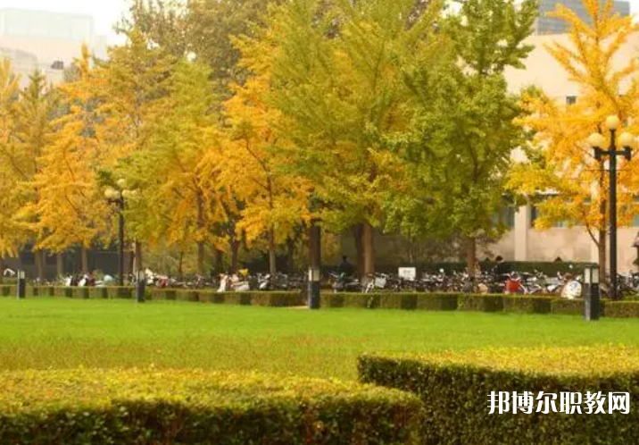 2025濟(jì)寧中專學(xué)校最新排名前三名單